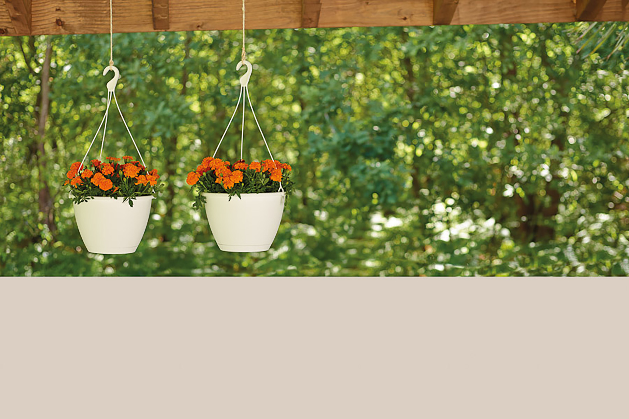 Algarve Hanging Basket