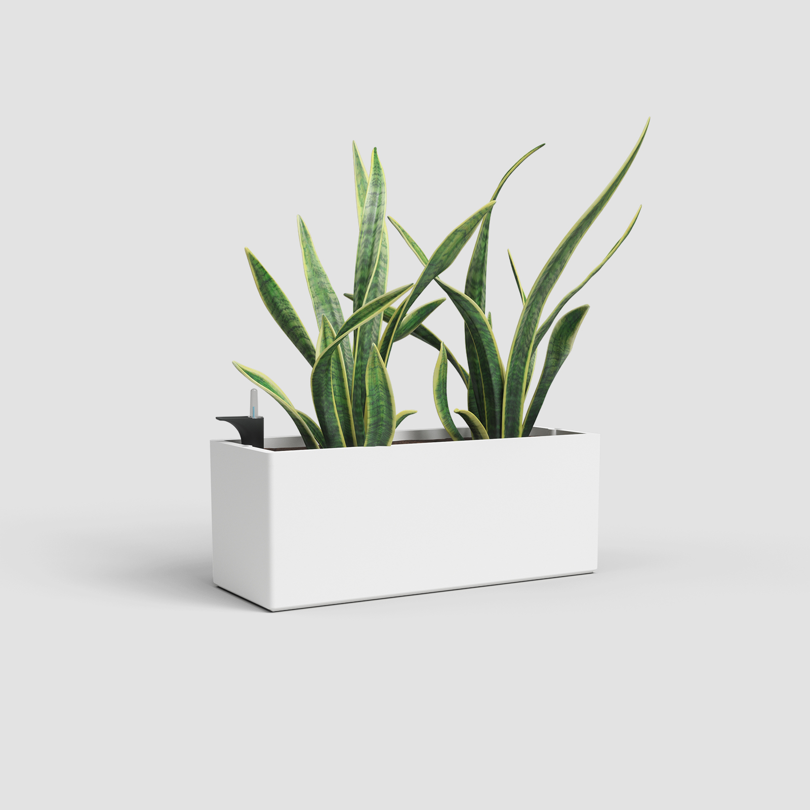 Rimini Plant Box Self Watering System