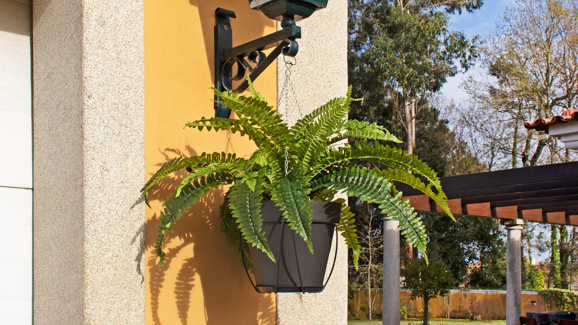 Hanging Basket